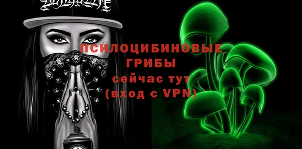 гашик Алексеевка