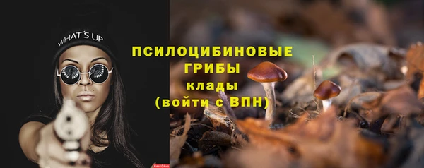 гашик Алексеевка