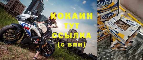 индика Алексин