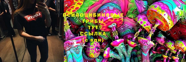 индика Алексин
