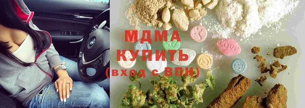 индика Алексин