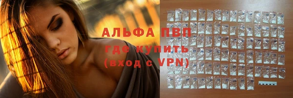 индика Алексин